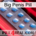 Big Penis Pill viagra3